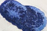 Vibrant Blue Azurite Sun on Siltstone - Australia #217988-1